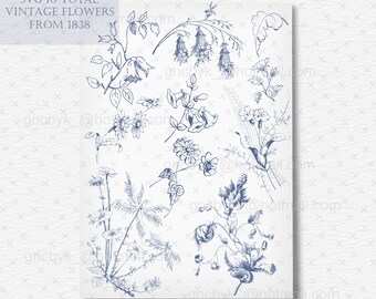 Vintage Floral Vector Clip Art: 1838 Botanical Flower Designs (SVG Bundle)