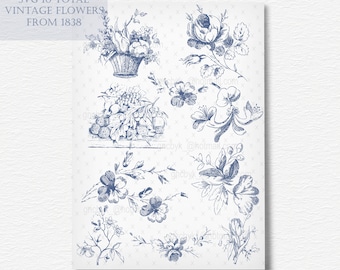 Vintage Floral Vector Clip Art: 1838 Botanical Flowers (SVG Bundle)