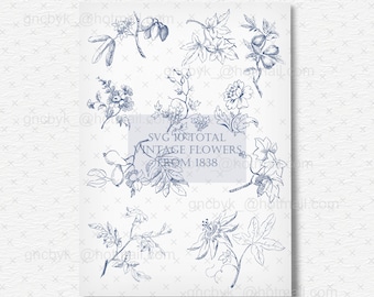 Vintage Floral Vector Clip Art: 1838 Botanical Flowers (SVG Bundle)