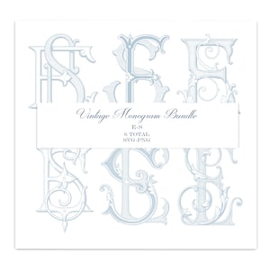 May include: A collection of six light blue decorative monogram letters featuring intricate scrollwork and line shading. A central white rectangular label displays the text Vintage Monogram Bundle, E-S, 6 TOTAL, SVG-PNG in dark blue lettering.
