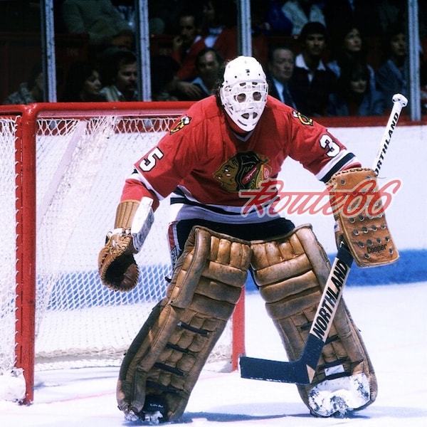 NHL Chicago Black Hawks Goalie Tony Esposito Color Game Action 8 X 10 Photo