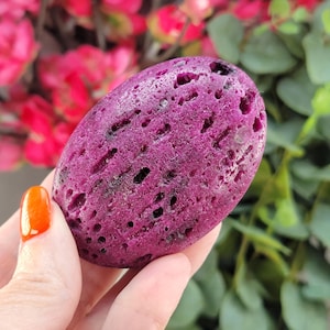 Puede incluir: Una piedra porosa de color magenta oscuro, de forma ovalada y lisa. La piedra tiene numerosos agujeros pequeños y una textura ligeramente rugosa. El fondo presenta flores rosas y follaje verde.