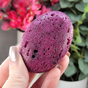 May include: A deep purple, porous stone with a smooth, rounded shape. The stone is held in a hand, with a blurred background of pink flowers and green foliage. The stone's surface has small holes and a textured appearance.