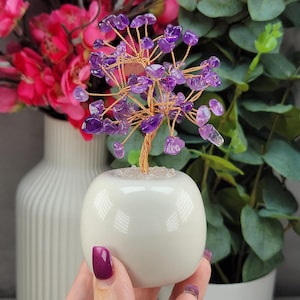 May include: A decorative amethyst gemstone tree with a copper wire trunk and branches, set in a small, white, rounded ceramic pot. The tree is surrounded by pink flowers and green foliage in the background.