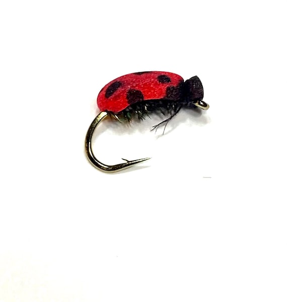 Lady Bug Fly, Fly Fishing, Reel Fishing, Lures, Flies for fishing