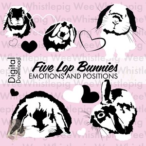 Holland Lop 5 Bunny Vector Digital Download for Vinyl, Screenprinting, Art Cute Lop Rabbit svg, ai, png, jpg, pdf Commercial Personal Use