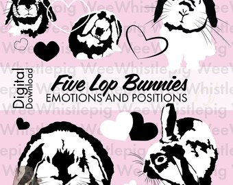 Holland Lop 5 Bunny Vector Digital Download for Vinyl, Screenprinting, Art Cute Lop Rabbit svg, ai, png, jpg, pdf Commercial Personal Use
