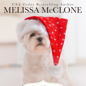 Signed paperback copy of The Christmas Window
