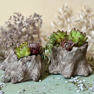 Tree Stump Planters Set of Two | Wood Succulent Pots Set | Wood Planter | Succulent Wooden Planter | Flower Pot | Tree Stump | Woodland Pots