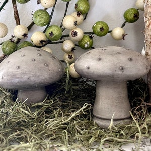 Pair of Mushroom Statues | Concrete Dotted Cap Mushrooms | Set of 2 Mushrooms | Mushroom Gifts | Fairy Garden Decor | Fungi | Mushroom Decor