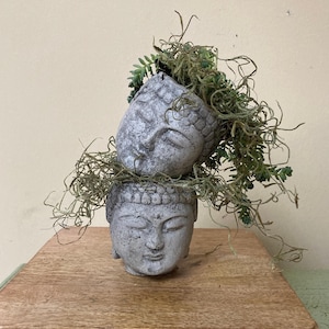 Buddha Head Succulent Pots for Small Plants & Succulents | Concrete Zen Planter Set | Handmade 3 Inch Planter