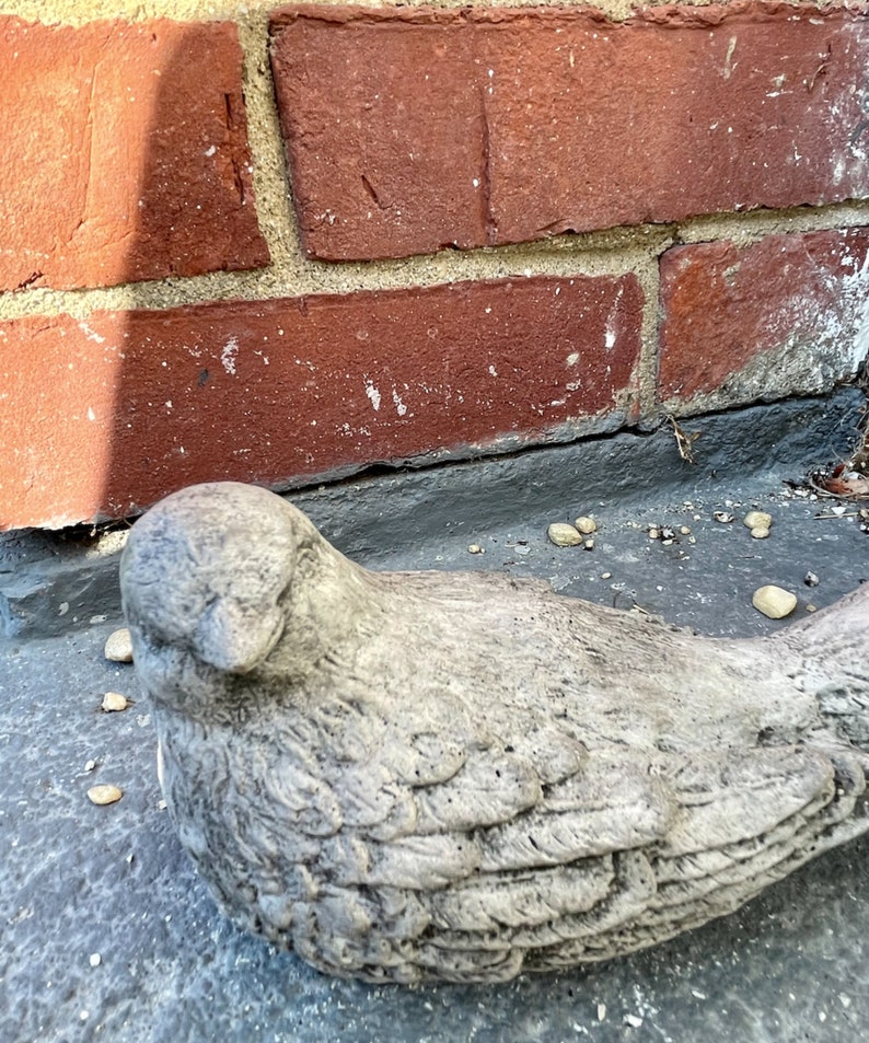 Large Dove Statue Large Bird Statue Life Size Bird Statue Etsy