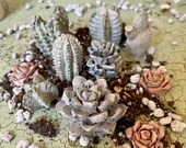 Set of 10 Concrete Succulent Flowers Concrete Flowers Concrete Succulent Statues Gardener 39 s Gift Handmade Paper Weight