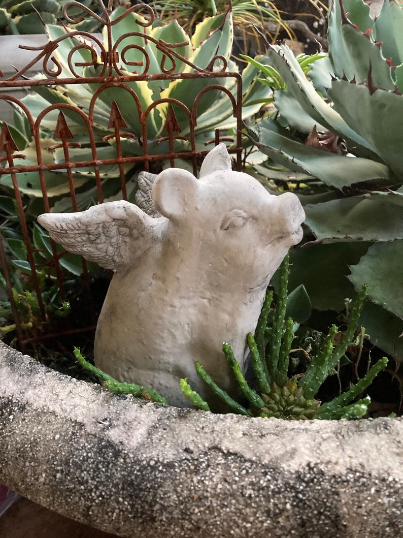 flying pig statue nestled among a large planter inside a garden with large aloe Vera plant