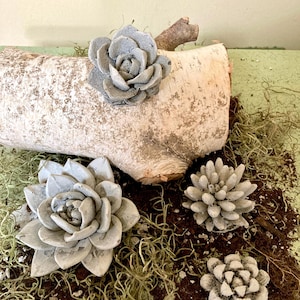 Succulents Set of 4 Concrete Artificial Plants | Artificial Flowers | Cement Succulent Plants | Gardener&#39;s Gift | Housewarming Gifts