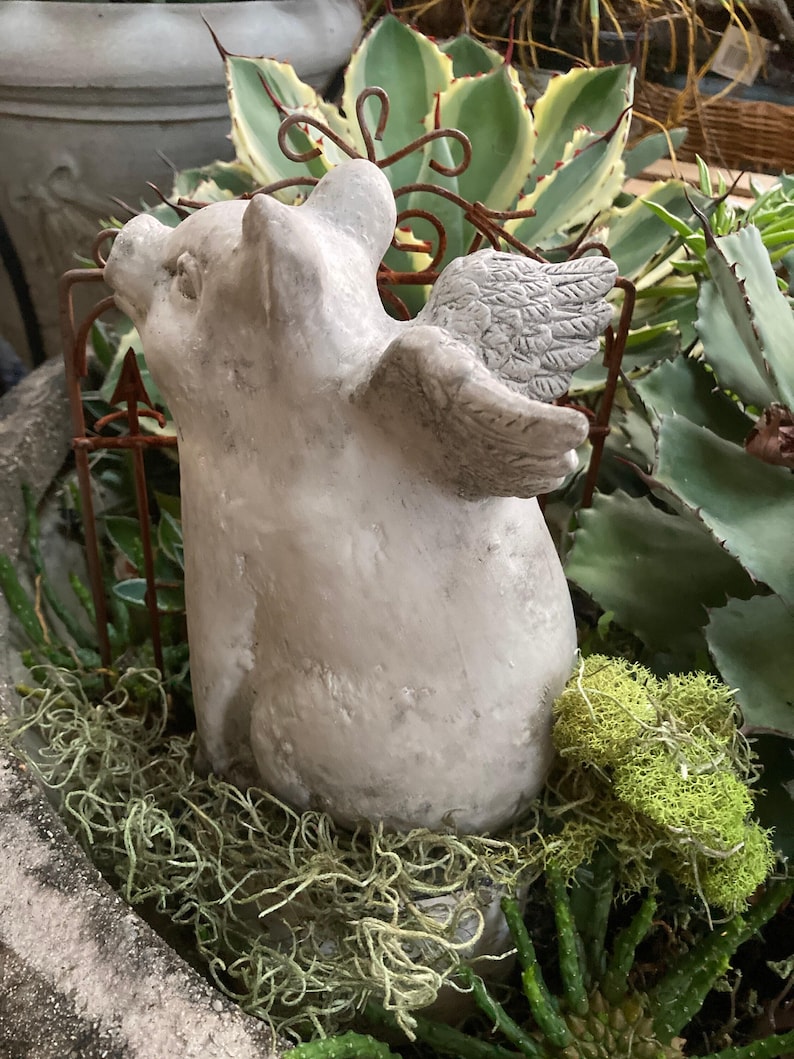 side profile of flying pig garden statue nestled among a large planter inside a garden with large aloe Vera plant