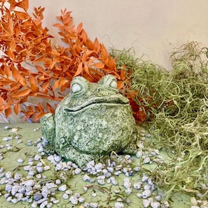 May include: A green ceramic frog figurine with a textured surface. The frog is sitting on a bed of small white rocks.