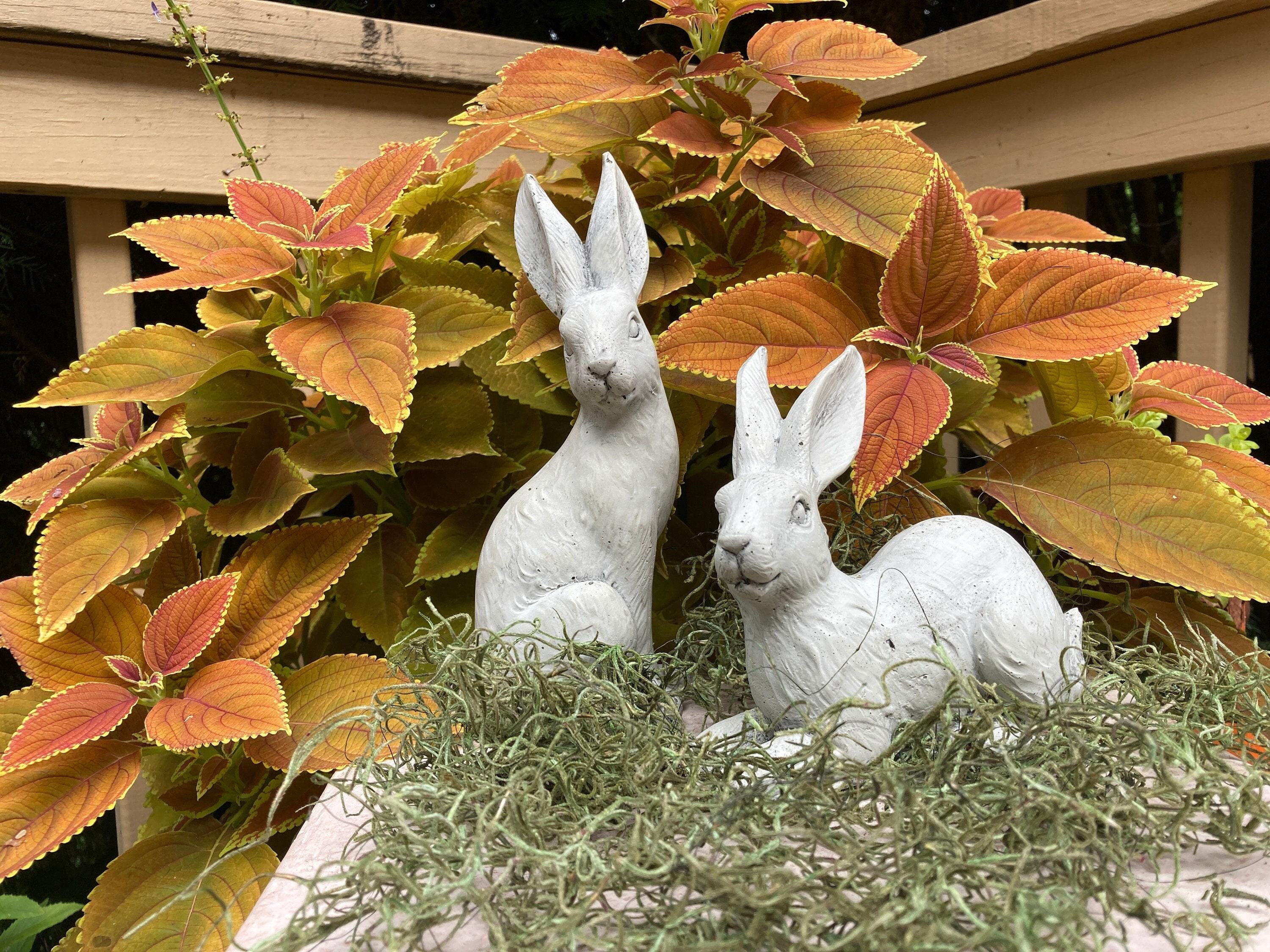 French Country Rabbit Statue | Regal Bunny Garden Statues | English Hares | Gift for Gardener | Farmhouse Decor | Easter Decor