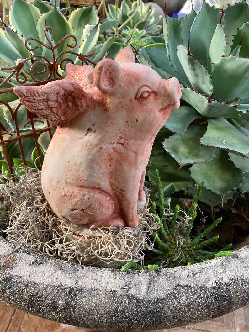 side profile of flying pig garden statue in Terra cotta color nestled in a garden sitting atop Spanish moss surround by green plants and a large agave plant