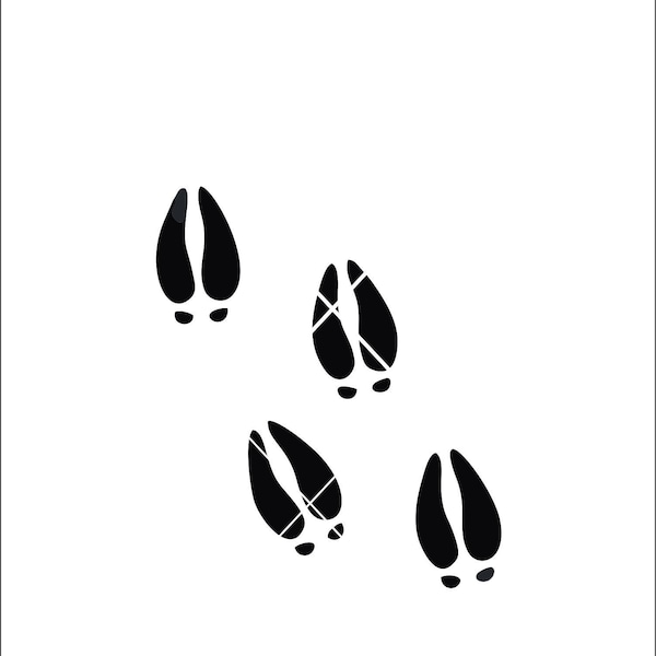 Deer Tracks - Etsy