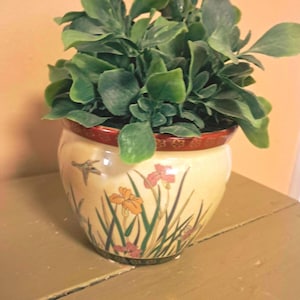 May include: A decorative ceramic planter with a floral design and a dark red rim, filled with green leafy plants. The planter features a cream-colored base with illustrations of flowers and a bird. The planter is sitting on a wooden surface.