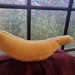 Banana for scale