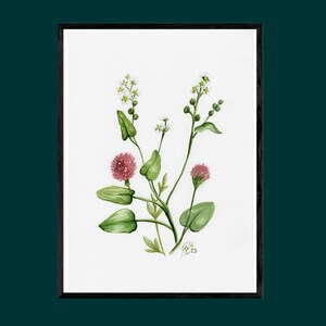 Spatola unica dipinta a mano, bellissima pianta da fiore, quadro botanico pasquale in acquerello, pezzo unico firmato a mano, formato verticale A4, senza cornice
