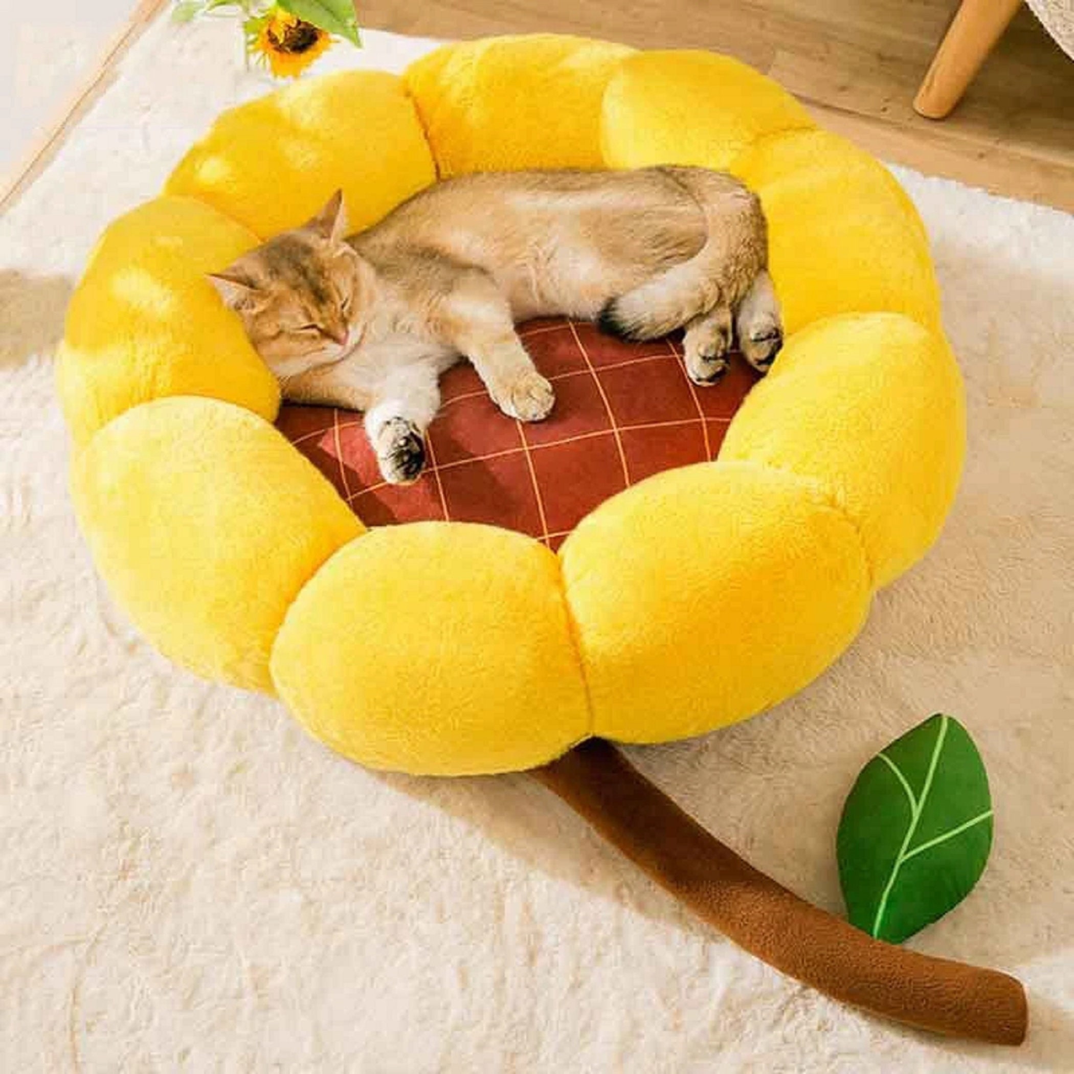 Fruit tart cat bed cheap uk