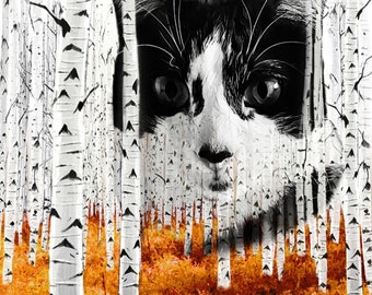 Cat In The Woods