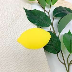 Lieu de la fête du citron