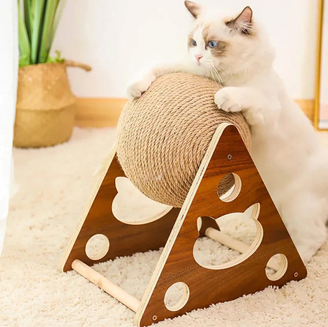 cat scratch post rope