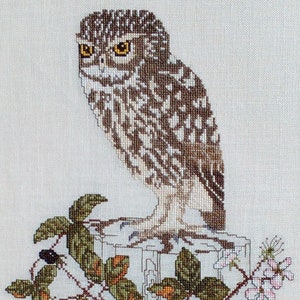 Little Owl Cross-stitch pattern