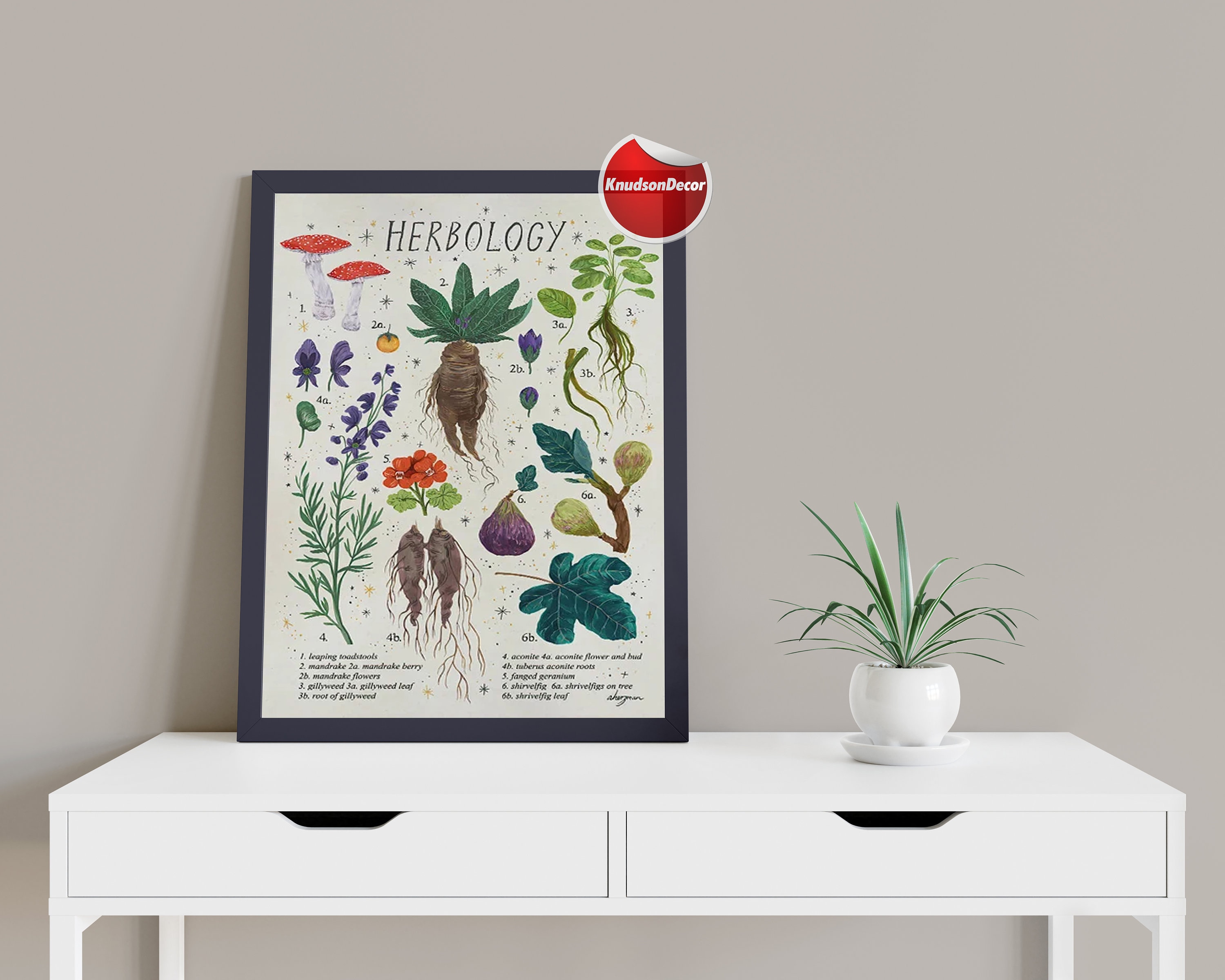 Herbology Medicinal Plant Chart Magic Botanical Watercolor