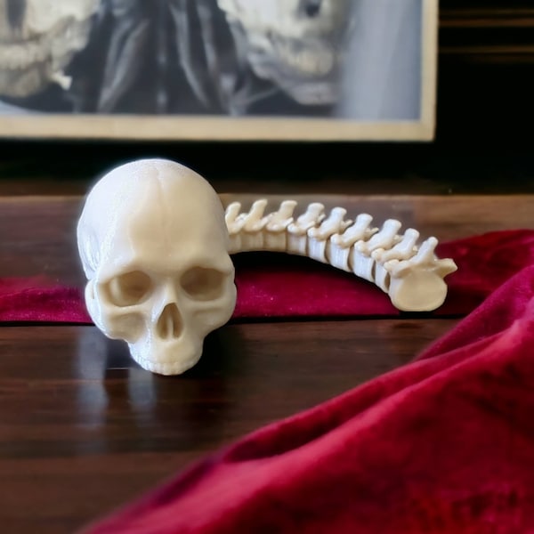 Skull with Spine - Articulated Toys - 3D Printing - Decor - Multiple sizes!!