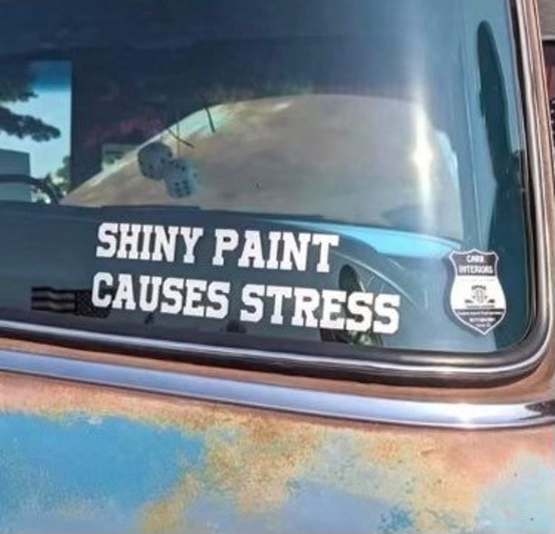 Shiny Paint Causes Stress Decal 12 Etsy