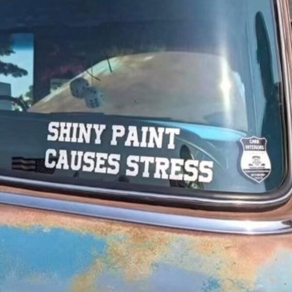 Shiny Paint Causes Stress Sticker Etsy