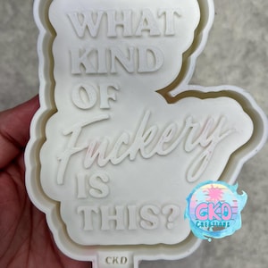 What kind of fuckery is this mold. Cuss word mold. Silicone freshie mold! Freshie mold