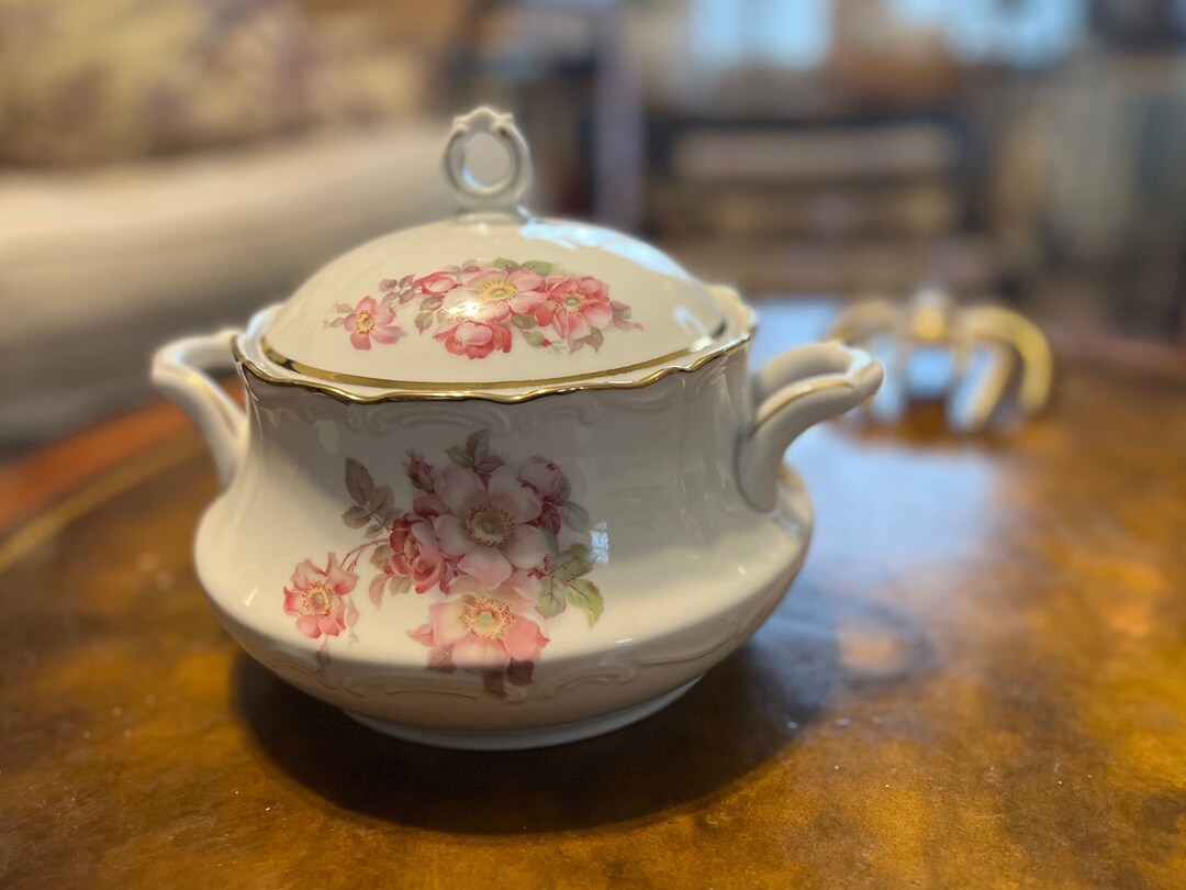 Schumann Bavaria Briar Rose Soup Tureen With Gold Gilt Lid - Etsy
