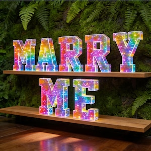 May include: Lit-up letters spelling "MARRY ME" in rainbow colors. The letters are on wooden shelves against a backdrop of greenery. The letters are filled with tiny, colorful lights.