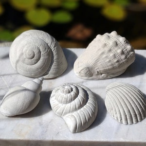Könnte beinhalten: Fünf weiße Betonschalen in verschiedenen Formen und Größen. Die Muscheln sind auf einer weißen Marmorfläche angeordnet.