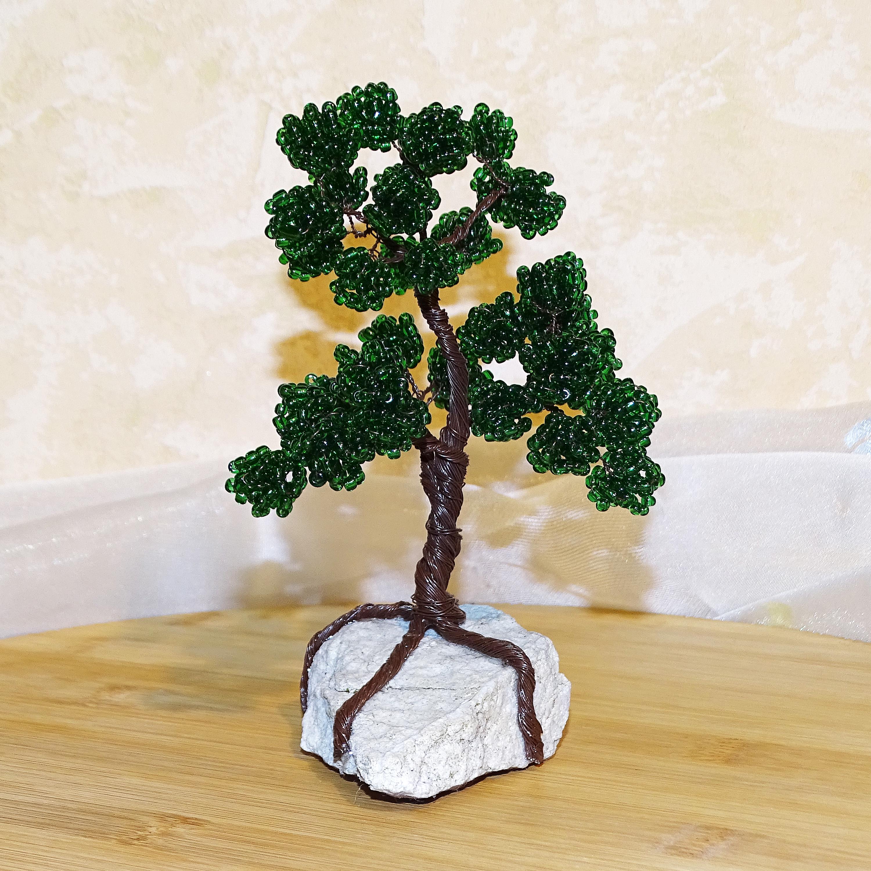 gard bambus verde Bambus vesnic verde 1.50 -2.00 m Bambusa metake  Garden Boutique