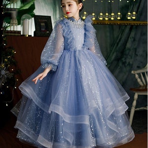 Cinderella dress blue princess dress girls special occasion dress exclusive wear for party birthday dress girls catwalk dress