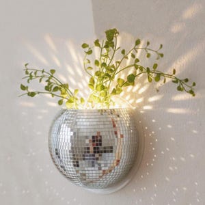 Peut inclure: Un pot de fleurs en forme de boule à facettes argentée, fixé à un mur blanc. Il contient des plantes vertes. La lumière traverse le feuillage, créant un jeu d'ombres et de lumière. Le pot est fixé sur une base blanche.