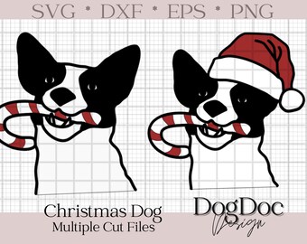 Christmas Candy Cane Dog SVG ; cricut, eps, dxf, png, craft, silhouette, clipart, christmas, holiday, pup, border collie