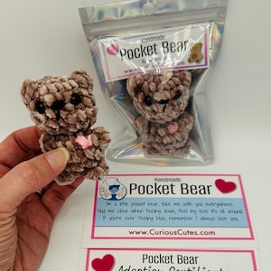 Pocket Bear Pocket Hug Sending my Love Poem Tiny Bear Micro Bear Mini Bear Plushie Thinking of You Gift Small Bear