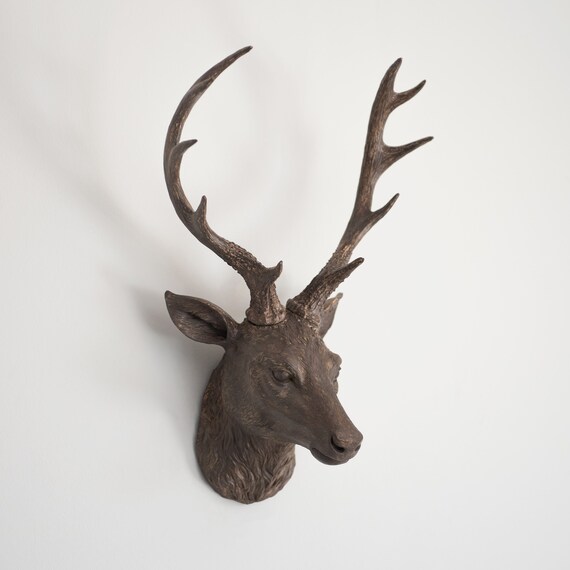 Stag Head Wall Mounted Ornament Large Stags Antlers Aged Etsy