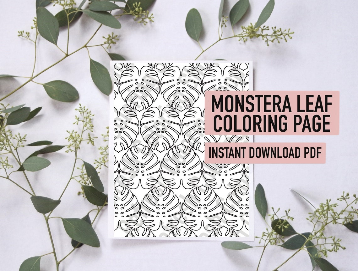 Printable Monstera Plant Leaf Coloring Page | PDF Instant Download - Etsy