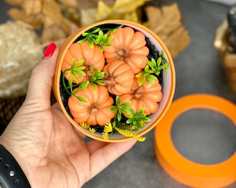 Pumpkin soap set gift in round box , Pumpkin favors , Thanksgiving gift , birthday gift, party favors , fall gift , Halloween