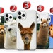 see more listings in the ANIMALS section