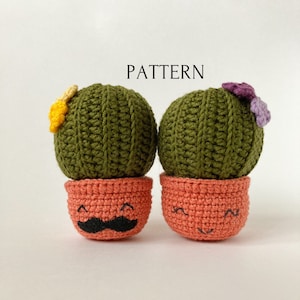 Cactus amigurumi pattern, crochet plant amigurumi pattern, succulent pattern, easy amigurumi PDF pattern